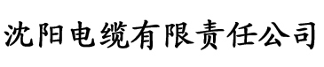 S36沙龙会厂logo